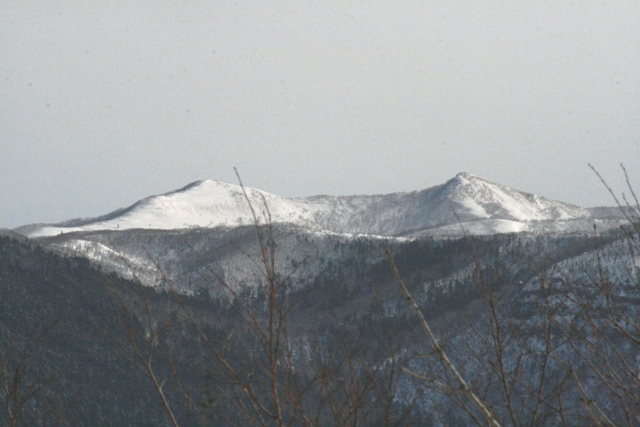 f:id:bihorokiyoshi:20220308084553j:plain