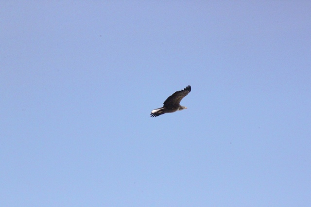 f:id:bihorokiyoshi:20220317082744j:plain