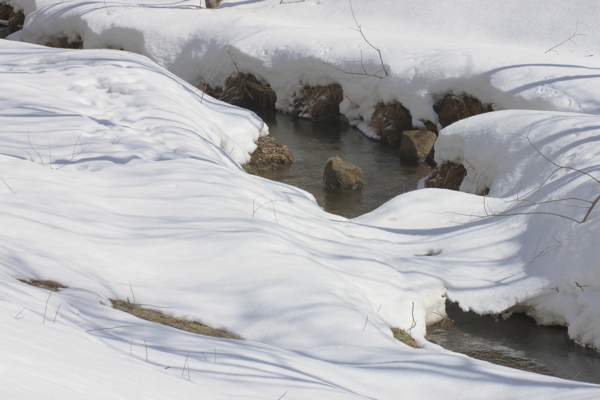 f:id:bihorokiyoshi:20220320065952j:plain