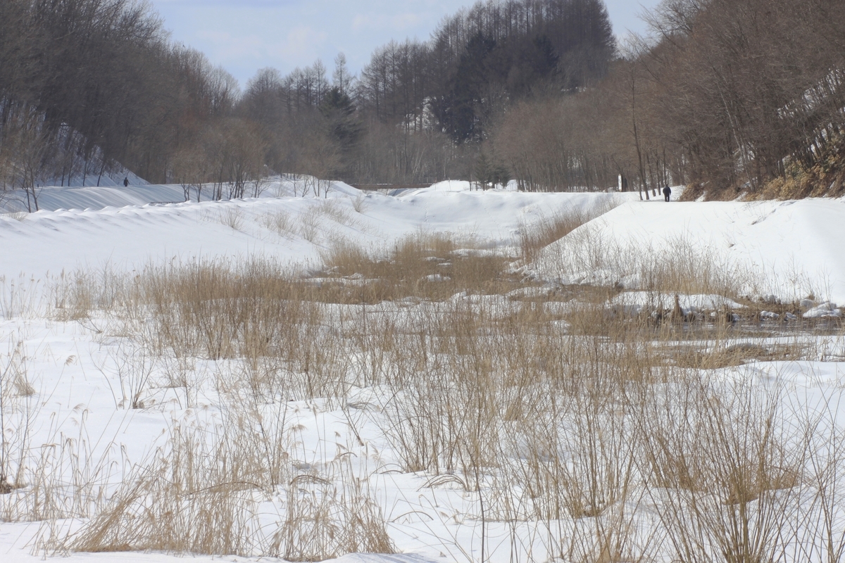 f:id:bihorokiyoshi:20220320070014j:plain