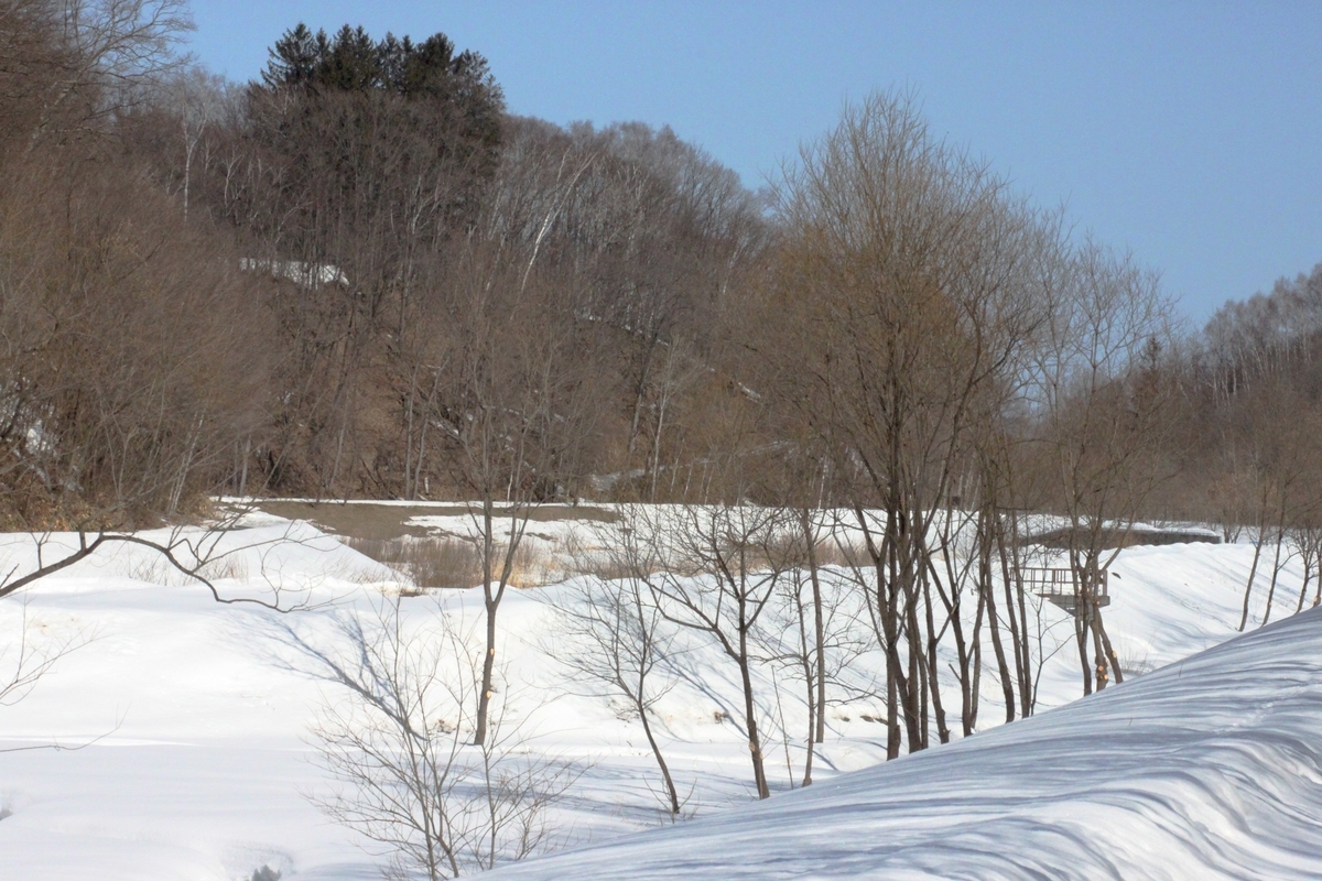 f:id:bihorokiyoshi:20220320070122j:plain