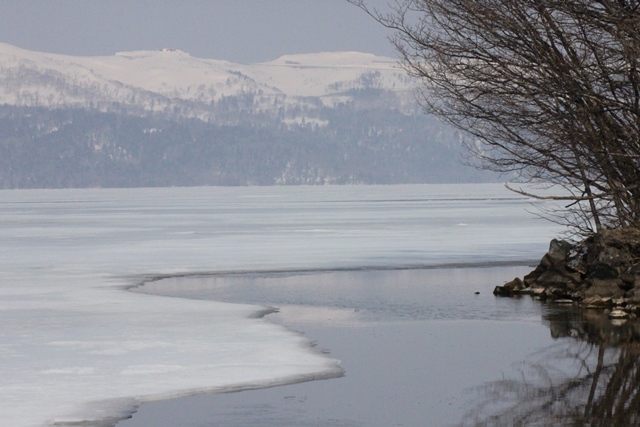 f:id:bihorokiyoshi:20220326082715j:plain