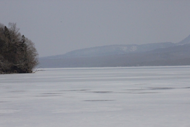 f:id:bihorokiyoshi:20220326082729j:plain