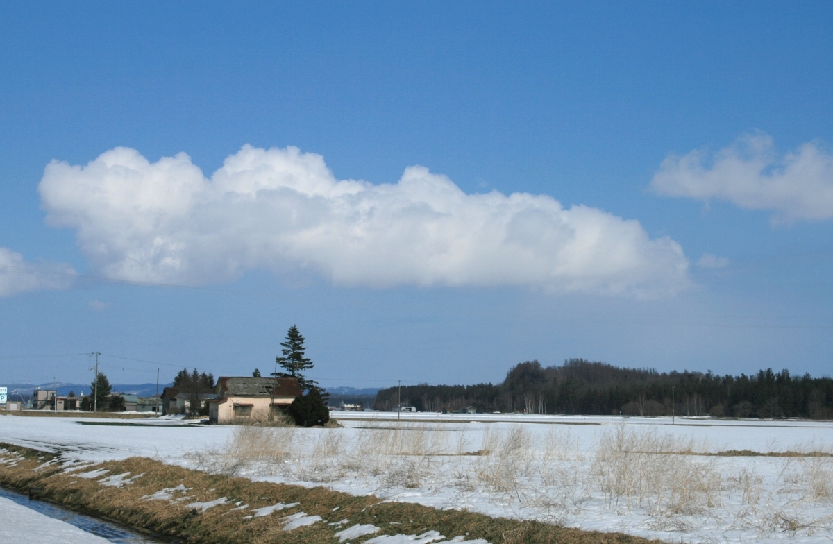 f:id:bihorokiyoshi:20220331075336j:plain