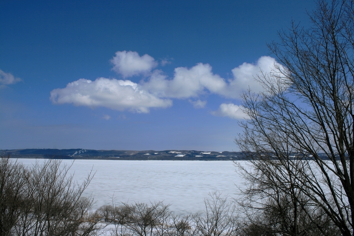 f:id:bihorokiyoshi:20220331075356j:plain