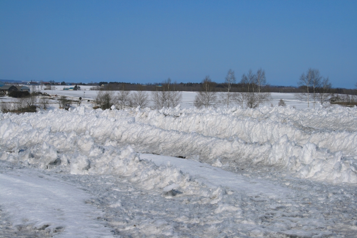 f:id:bihorokiyoshi:20220331075411j:plain