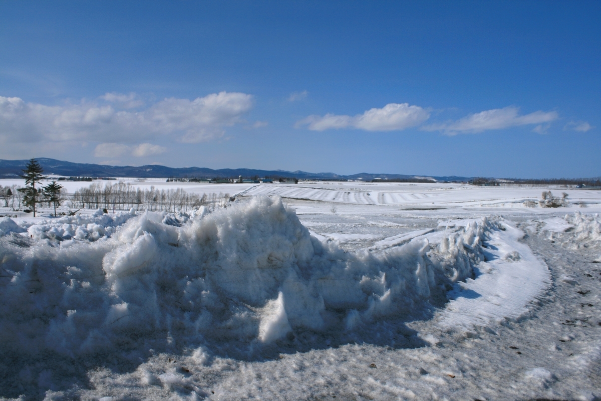 f:id:bihorokiyoshi:20220331075430j:plain