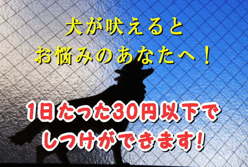 f:id:bijin23a:20210921171326j:plain