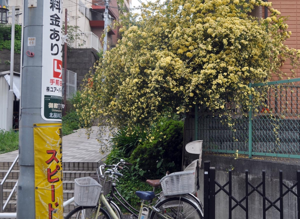 f:id:bijutsukan_map:20170504234701j:plain f:id:bijutsukan_map:20170504234701j:plain