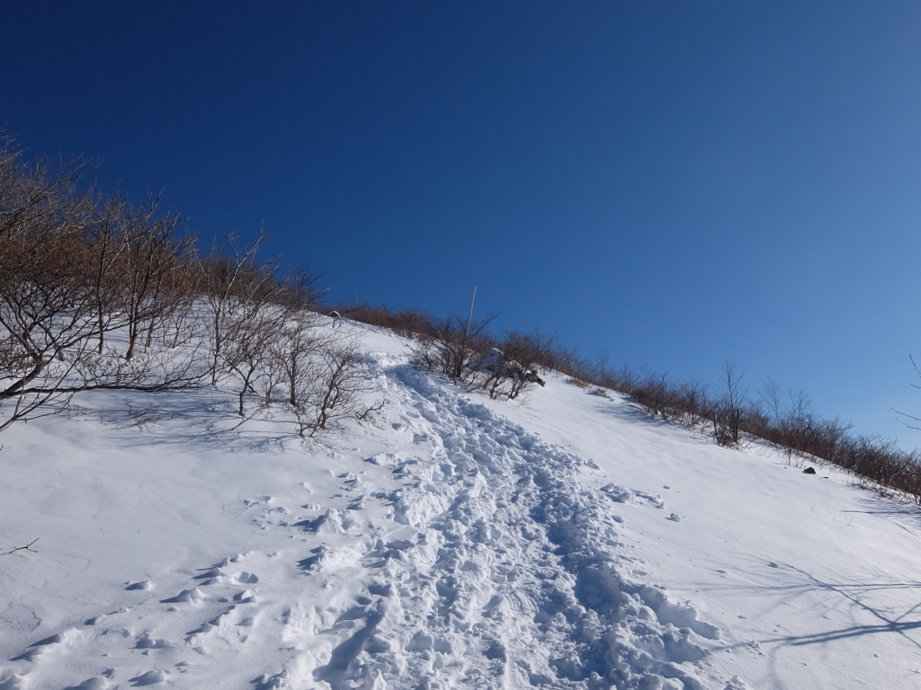f:id:bikarusun3:20180120210928j:plain