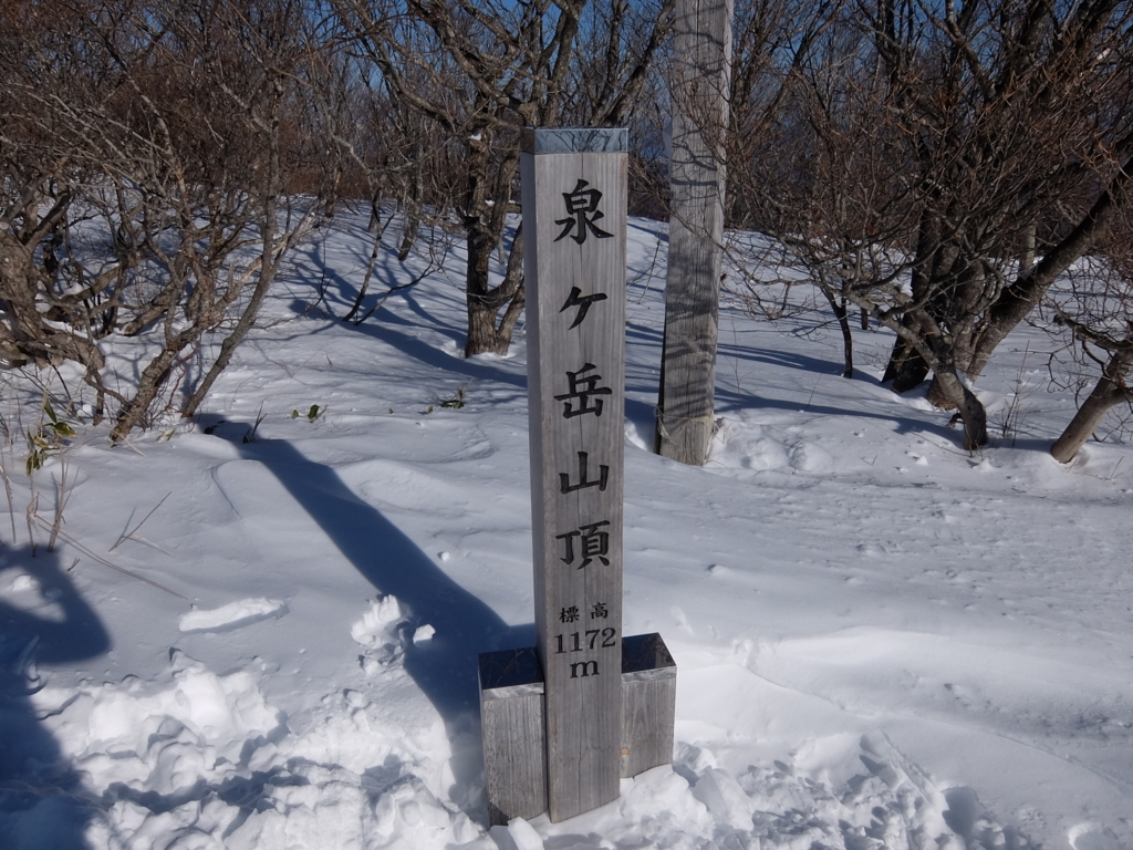 f:id:bikarusun3:20180120211123j:plain