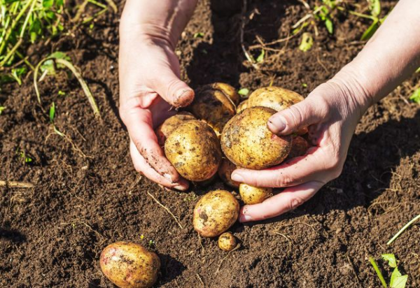 f:id:bikatatsu:20180822122234p:plain