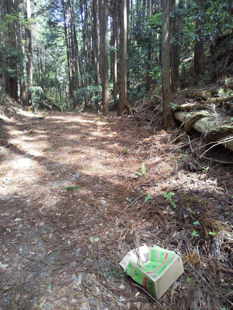 f:id:bike-serow:20210510105910j:plain