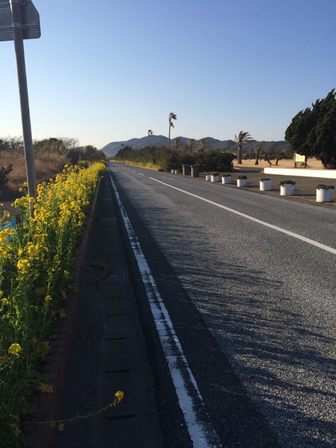 f:id:bikedane:20150213004949j:plain f:id:bikedane:20150213004949j:plain