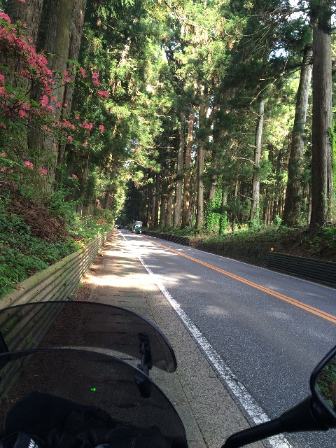 f:id:bikedane:20150430222427j:image f:id:bikedane:20150430222427j:image