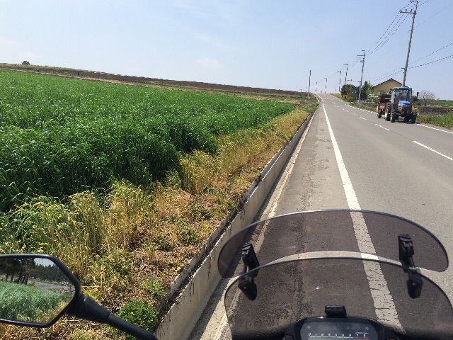 f:id:bikedane:20150501172331j:image f:id:bikedane:20150501172331j:image