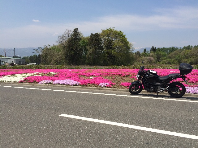 f:id:bikedane:20150501172526j:image f:id:bikedane:20150501172526j:image