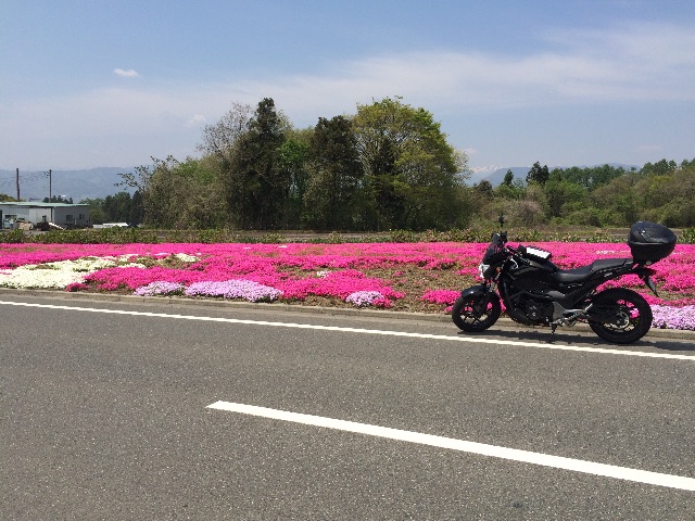 f:id:bikedane:20150501172526j:image