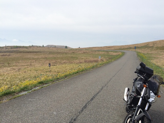 f:id:bikedane:20150529233658j:image f:id:bikedane:20150529233658j:image