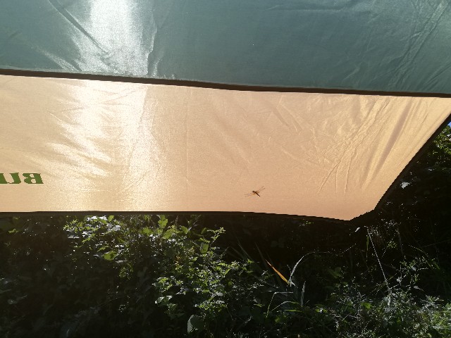 f:id:bikedane:20191002202458j:image f:id:bikedane:20191002202458j:image