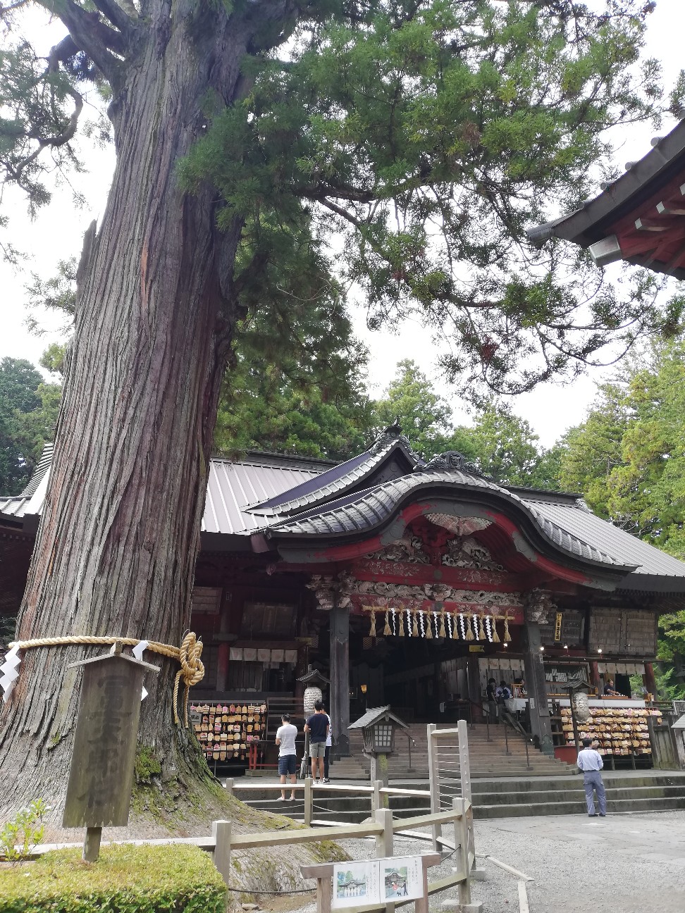 f:id:bikedane:20191003074534j:image f:id:bikedane:20191003074534j:image