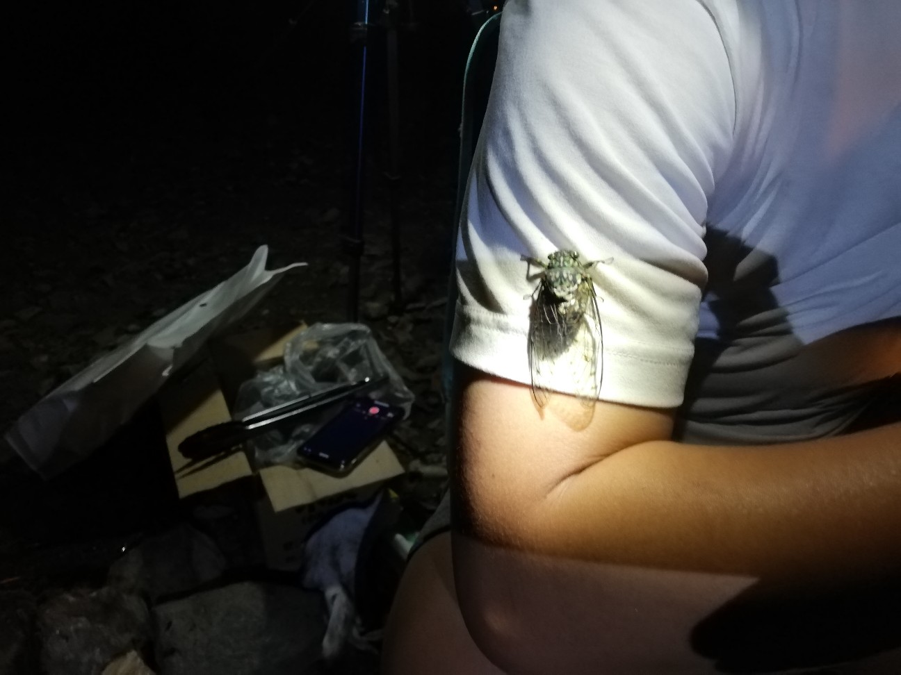 f:id:bikedane:20200918130556j:image f:id:bikedane:20200918130556j:image