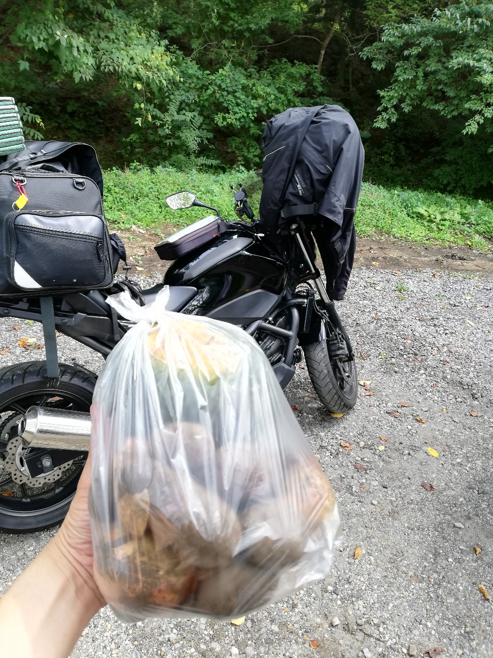 f:id:bikedane:20200918212436j:image f:id:bikedane:20200918212436j:image