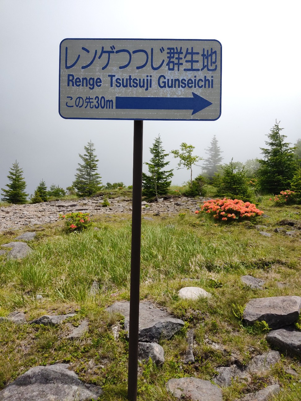 f:id:bikedane:20220701135231j:image f:id:bikedane:20220701135231j:image
