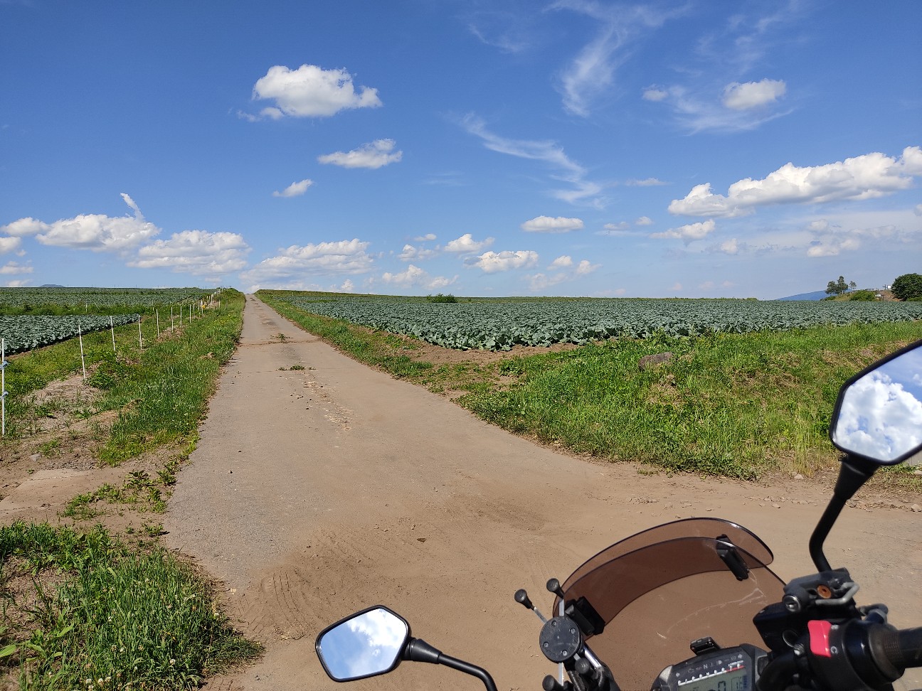f:id:bikedane:20220701223130j:image f:id:bikedane:20220701223130j:image