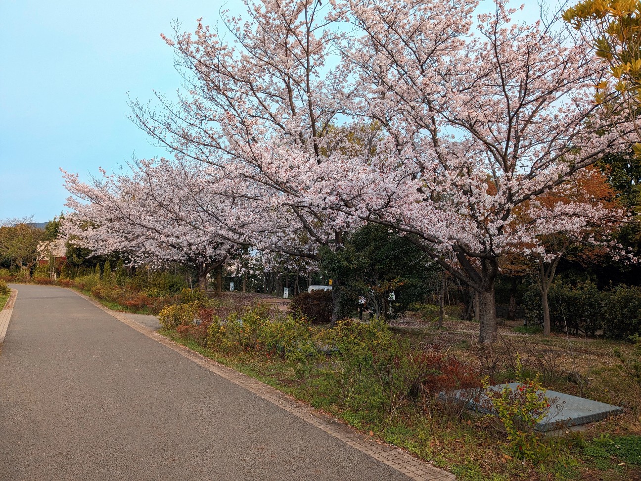 f:id:bikedane:20230410203652j:image f:id:bikedane:20230410203652j:image