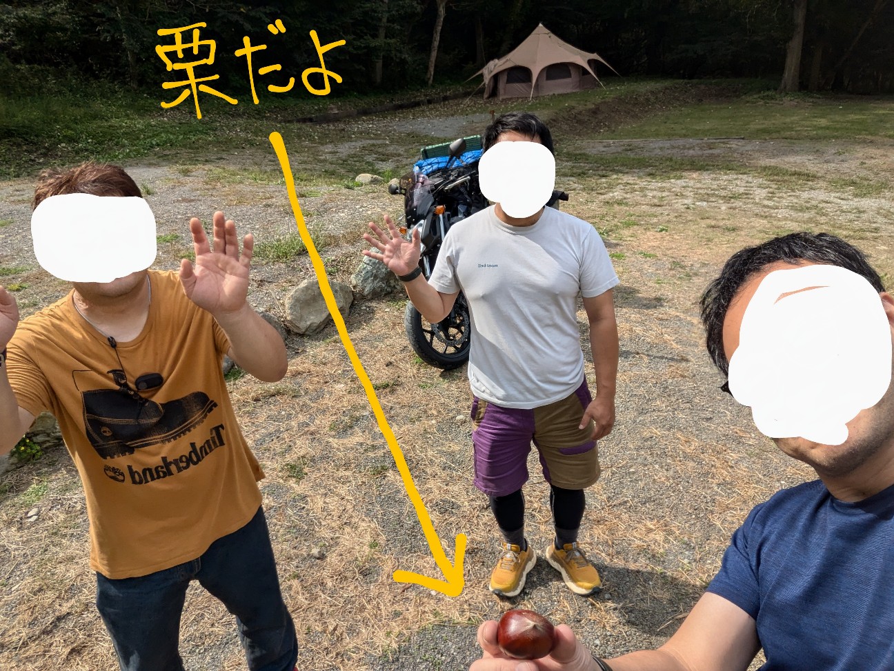 f:id:bikedane:20241007225851j:image f:id:bikedane:20241007225851j:image