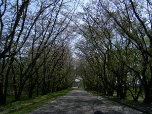 f:id:bikeerx:20050414154739:image