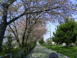 f:id:bikeerx:20050414154748:image