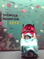 f:id:bikeerx:20100302151745j:image