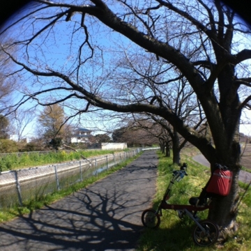 f:id:bikeerx:20110405200858j:image