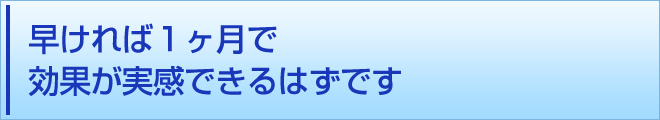 f:id:biken146:20170326194452j:plain