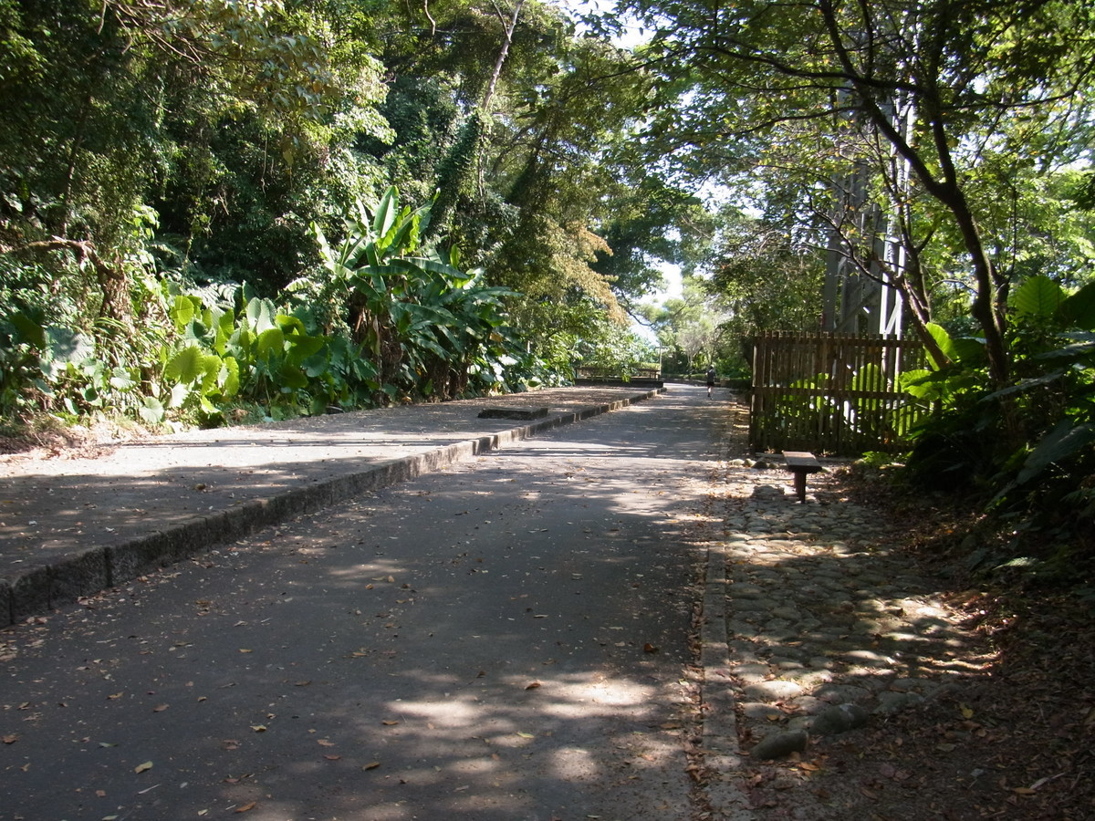 f:id:bikeofair:20191112124457j:plain f:id:bikeofair:20191112124457j:plain