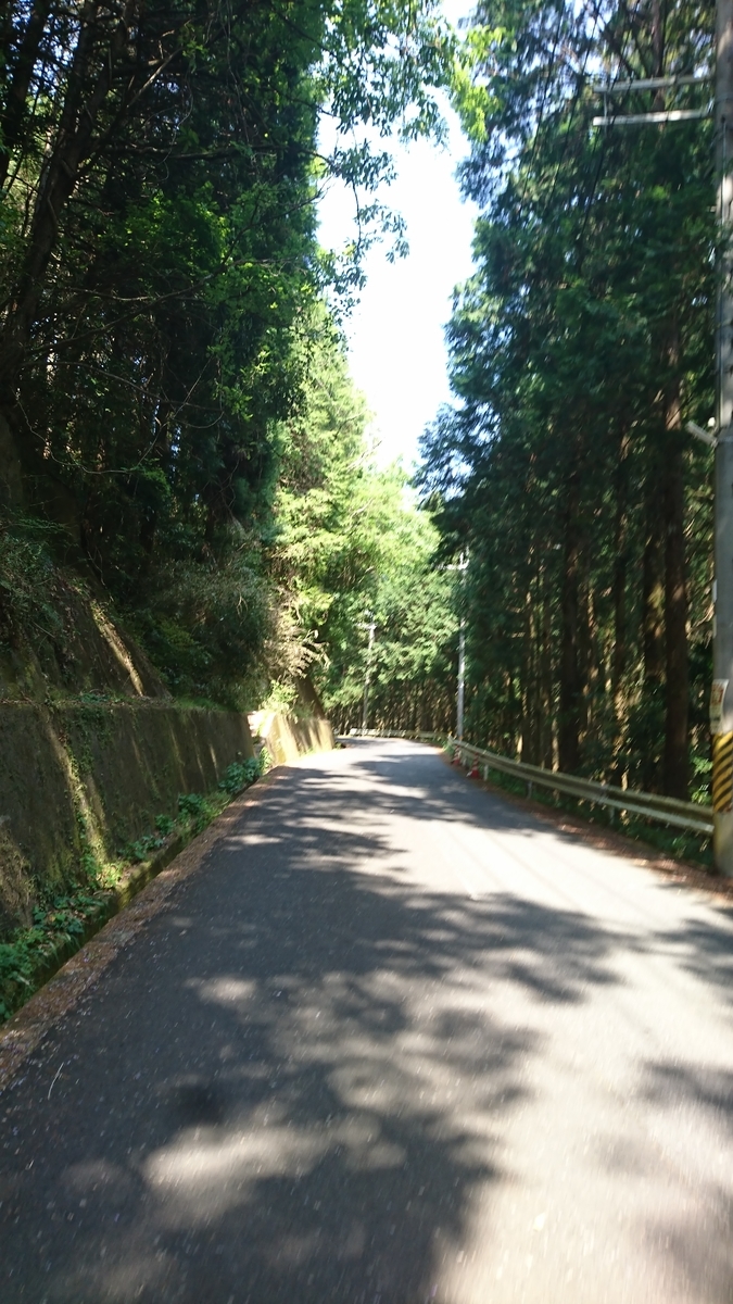 f:id:bikesato:20200514011528j:plain