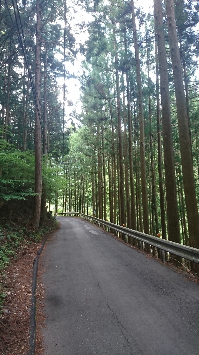 f:id:bikesato:20200531170537j:plain