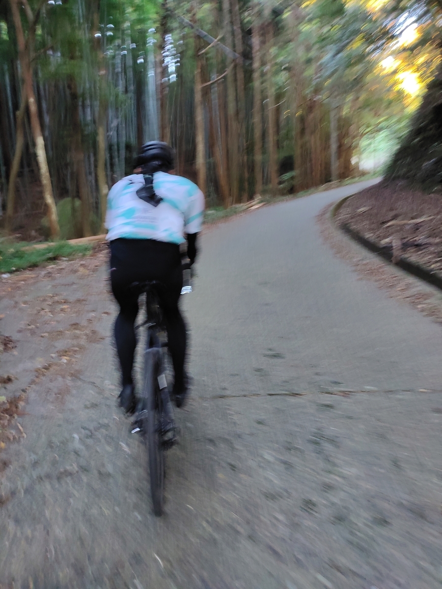 f:id:bikesato:20211215232250j:plain