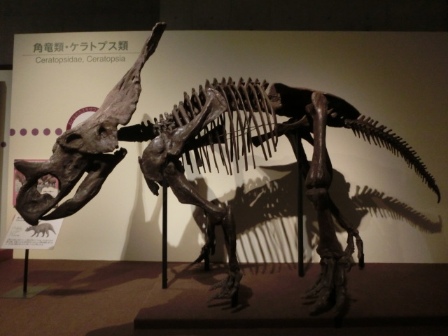 イメージ 5
