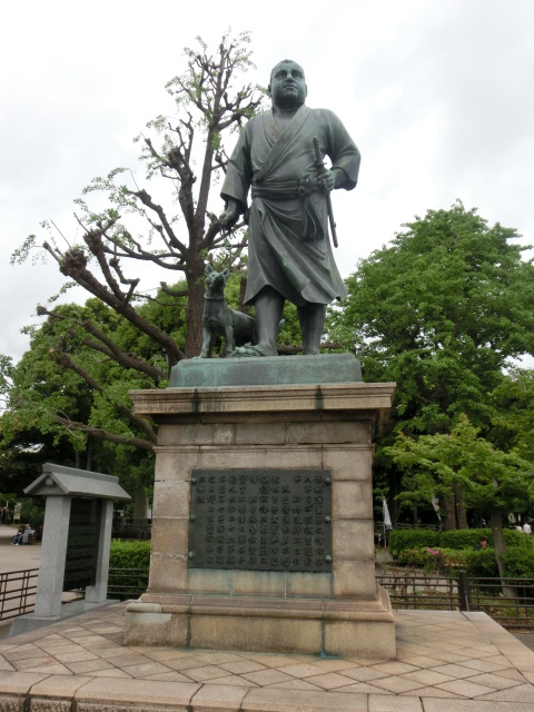 イメージ 7