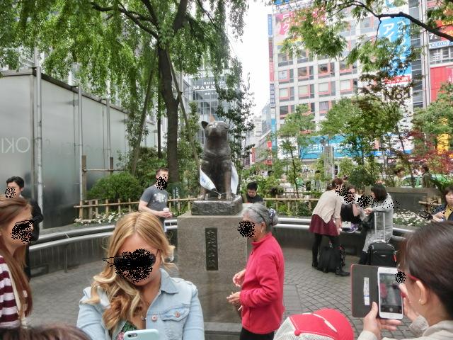 イメージ 13