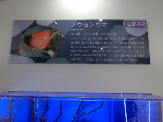 f:id:bikeshop-airu:20191027122911j:plain