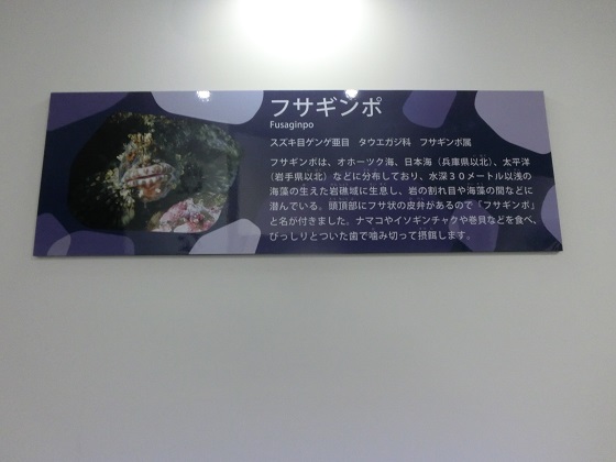 f:id:bikeshop-airu:20191027123144j:plain