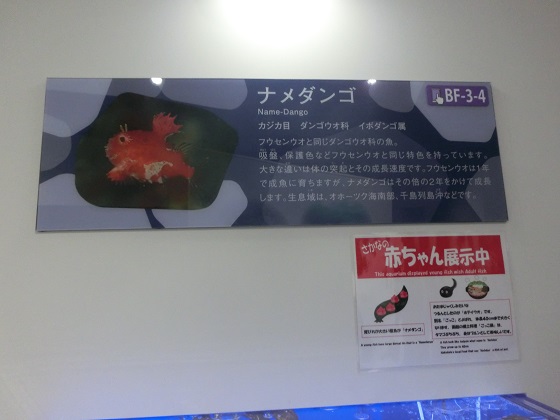 f:id:bikeshop-airu:20191027123235j:plain