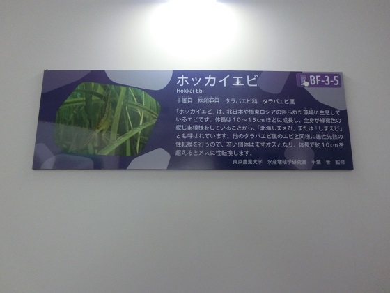 f:id:bikeshop-airu:20191027123339j:plain
