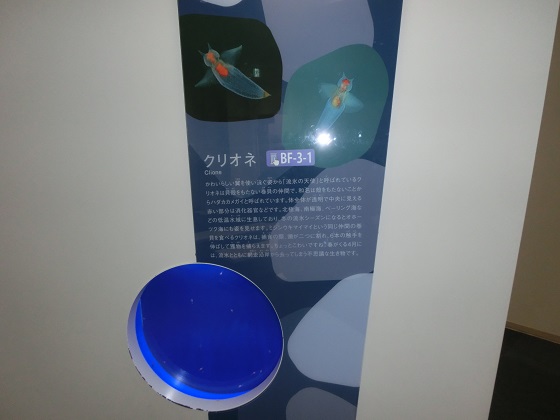f:id:bikeshop-airu:20191027123406j:plain