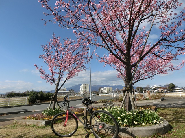 f:id:bikeshop-airu:20200220113411j:plain