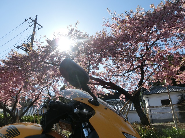 f:id:bikeshop-airu:20200319182026j:plain